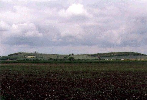 southhilllarge.jpg (43861 bytes)